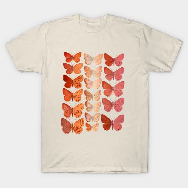 These Moths Are Lesbians T-Shirt by cobwebjr